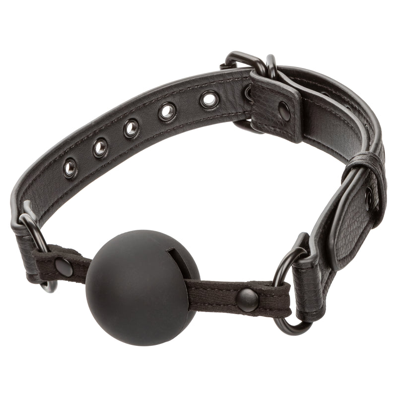 Nocturnal - Ball Gag