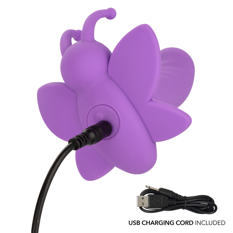 FirstTime Rotating Venus Butterfly