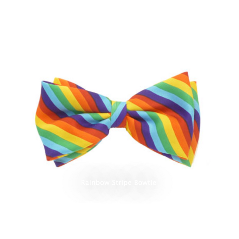 Rainbow Diagonal Stripe Bowtie (6705959698629)
