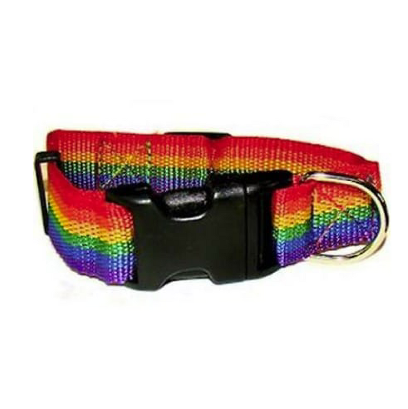 Rainbow Nylon Collar Collar 1/2 inch Cat/Puppy Collar adjustable 10&