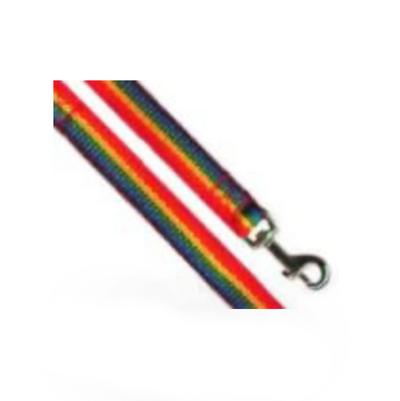 Rainbow Dog  Leash (6706081431749)